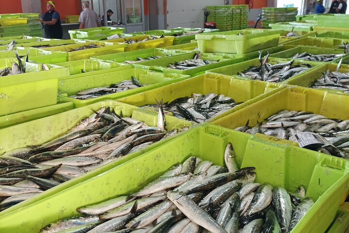 Tour of the Port and Lonja de Santoña and Anchovy Museum