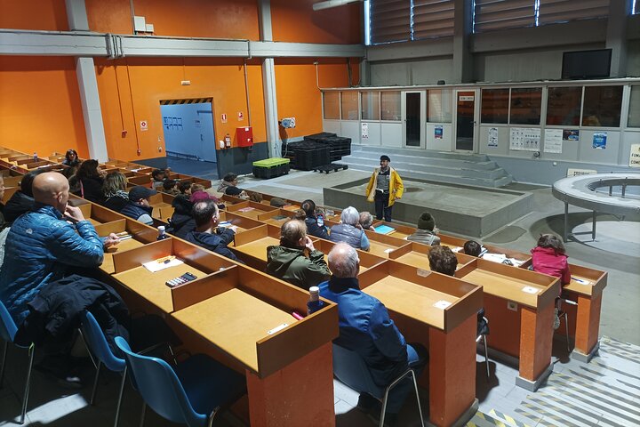 Tour of the Port and Lonja de Santoña and Anchovy Museum