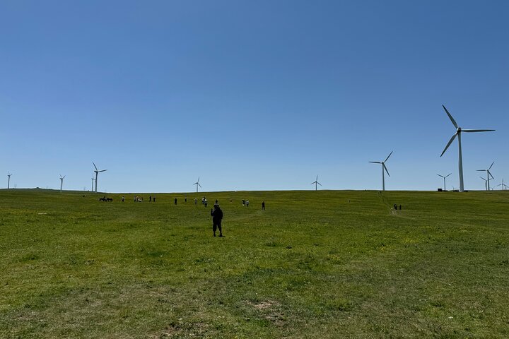 4D3N Huitengxile Grassland Wulanhada volcano Kubuqi Desert Tours