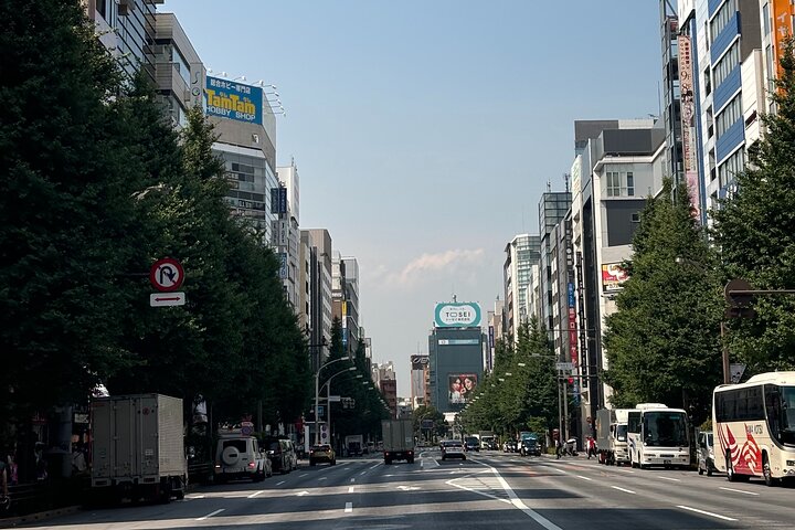 Tokyo: Private 5-Hour Layover Tour - Haneda/Narita Airports