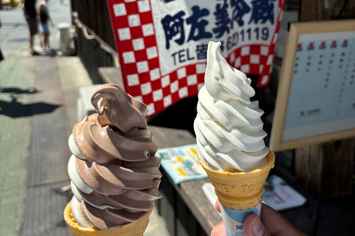 Tokyo: Private 5-Hour Layover Tour - Haneda/Narita Airports