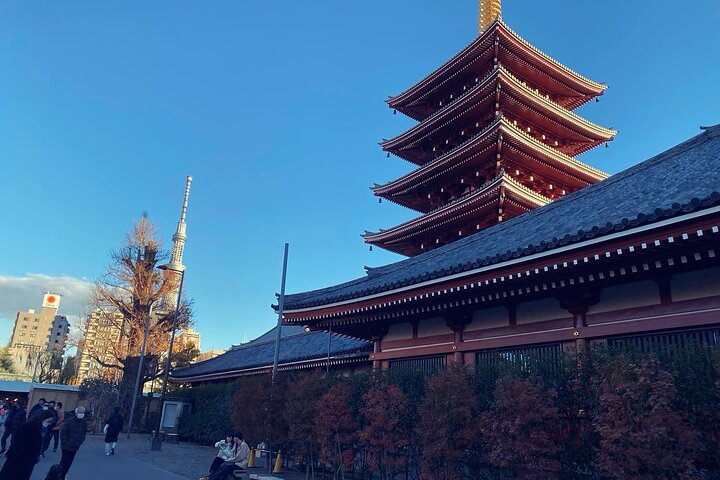Tokyo: Private 5-Hour Layover Tour - Haneda/Narita Airports