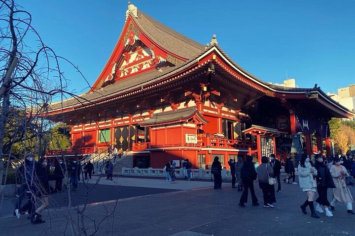 Tokyo: Private 5-Hour Layover Tour - Haneda/Narita Airports
