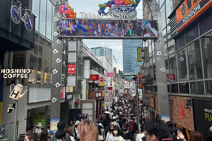 Tokyo: Private 5-Hour Layover Tour - Haneda/Narita Airports