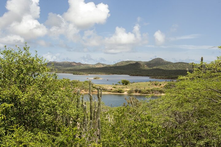 4 hour Individual Island Tour for 1 to 12 persons