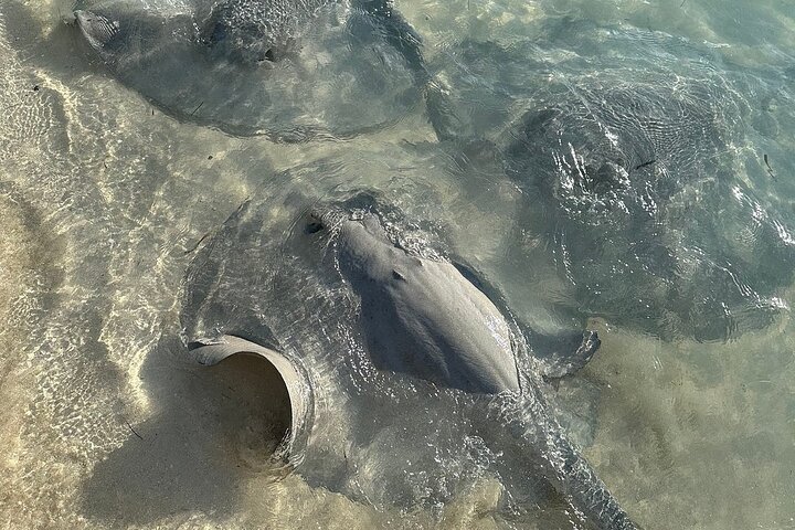 Crystal Bay Exuma Private Boat Tours & Fishing Charters