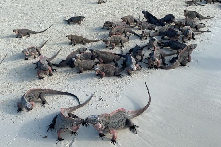 Crystal Bay Exuma Private Boat Tours & Fishing Charters