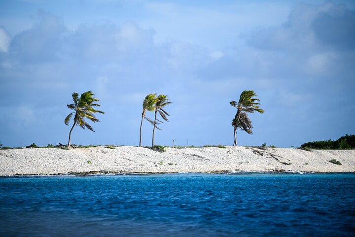 4 hour Individual Island Tour for 1 to 12 persons