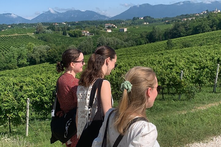 All inclusive Private Prosecco Hills Tour - 2 Wineries and Lunch.