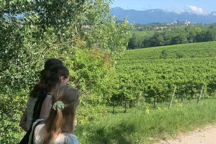 All inclusive Private Prosecco Hills Tour - 2 Wineries and Lunch.