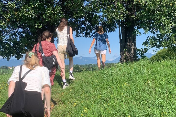 All inclusive Private Prosecco Hills Tour - 2 Wineries and Lunch.