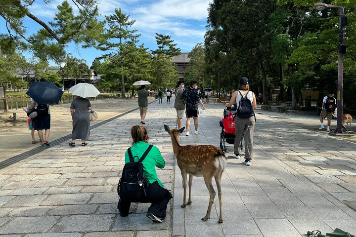Nara: Half-Day Private Tour of 4 Must-See Spots & Deer Park
