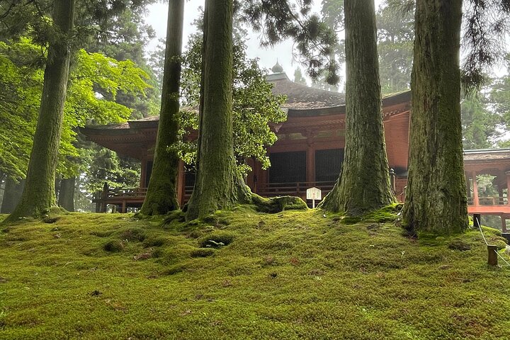 Kyoto: Enryakuji Highlights – 2-Hour Sacred Express Tour