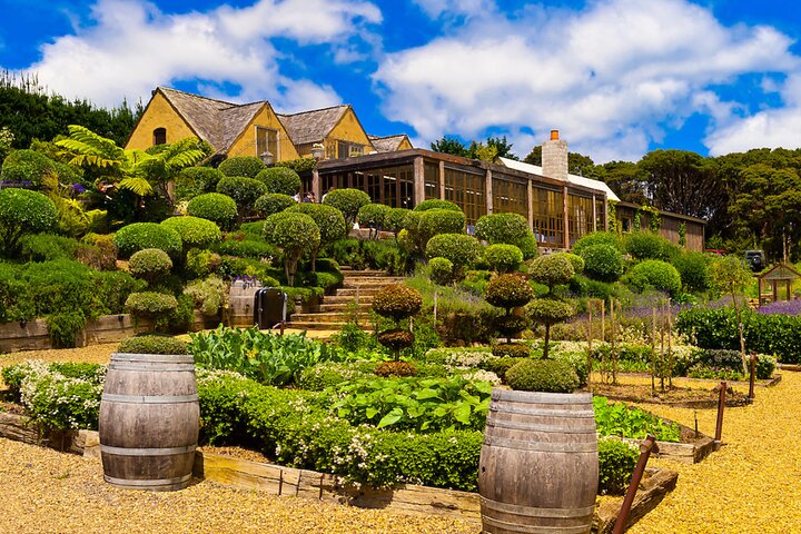 PREMIUM WINE tasting = Waiheke Island Wine Tours MAX 11 clients !
