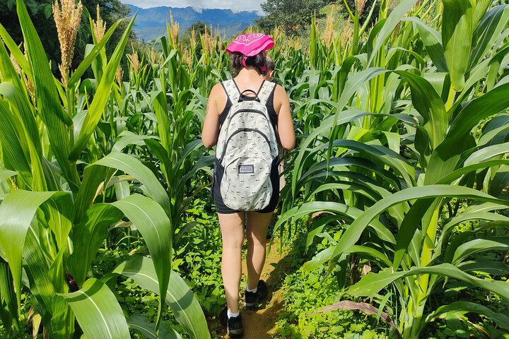 Full Day Private Trekking Mu Cang Chai