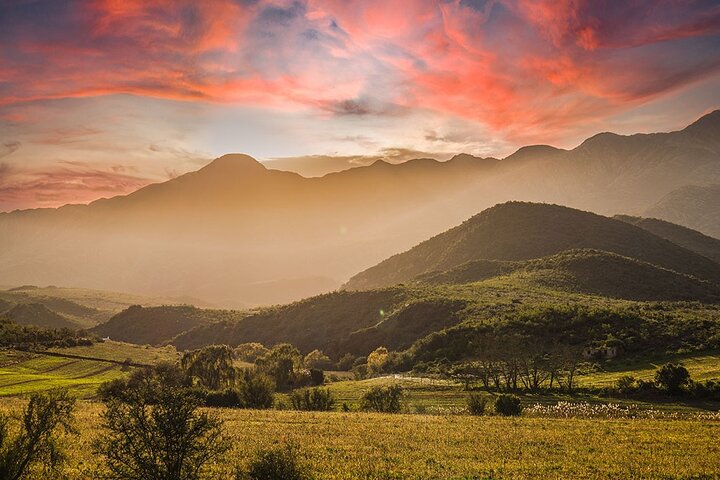 Oudtshoorn PRIVATE TOUR - Full Day