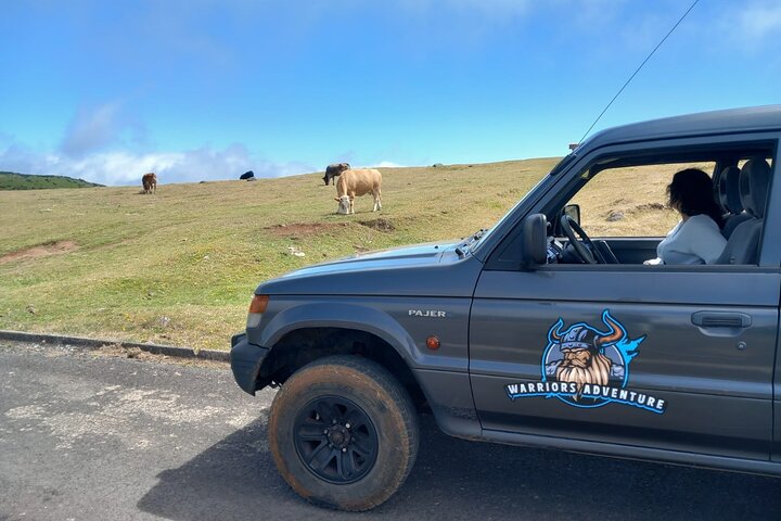 Madeira 4x4 Jeep Safari : Porto Moniz, Lava Pools & Fanal Forest