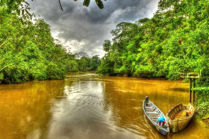 Yasuni Tours - 4 Days 3 Nights - From Puyo, Pastaza - Ecuador