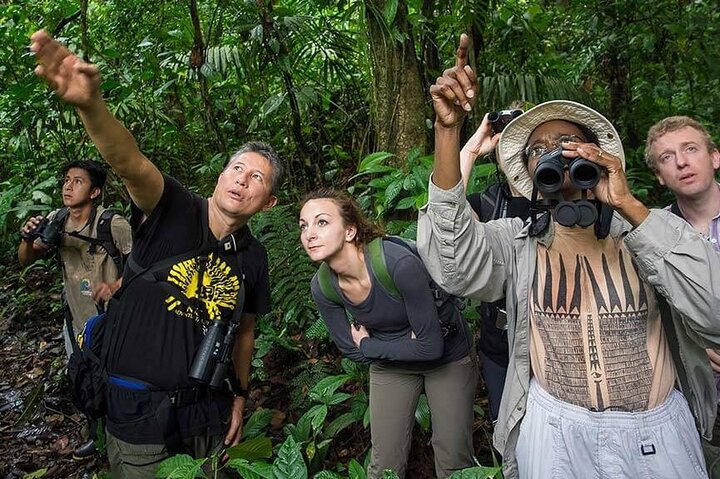 Yasuni Tours - 4 Days 3 Nights - From Puyo, Pastaza - Ecuador