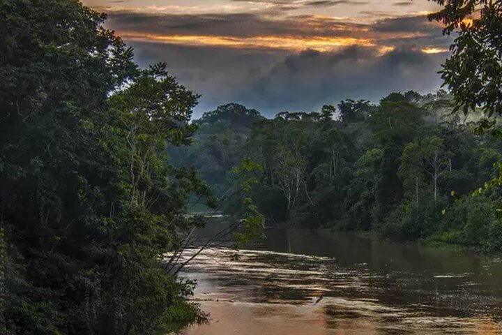 Yasuni Tours - 4 Days 3 Nights - From Puyo, Pastaza - Ecuador