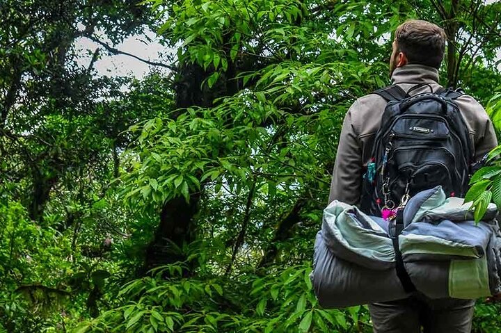 Yasuni Tours - 4 Days 3 Nights - From Puyo, Pastaza - Ecuador