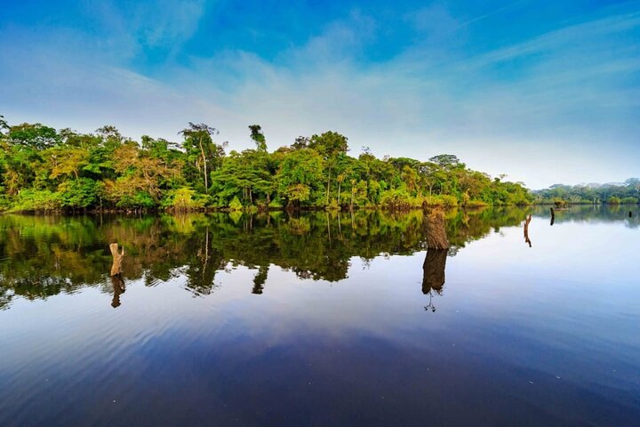 Yasuni Tours - 4 Days 3 Nights - From Puyo, Pastaza - Ecuador