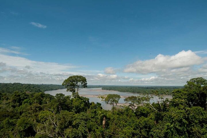 Yasuni Tours - 4 Days 3 Nights - From Puyo, Pastaza - Ecuador