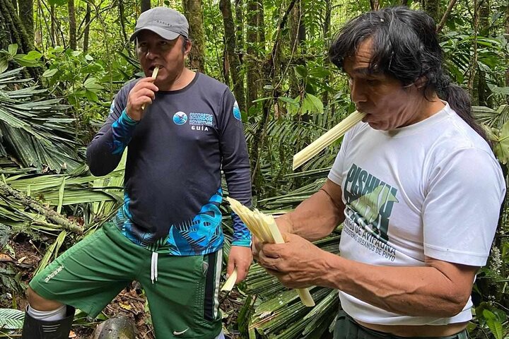 3 Días Selva Rainforest Chuahurco - 5 Cascadas - Comunidad 3 Etni