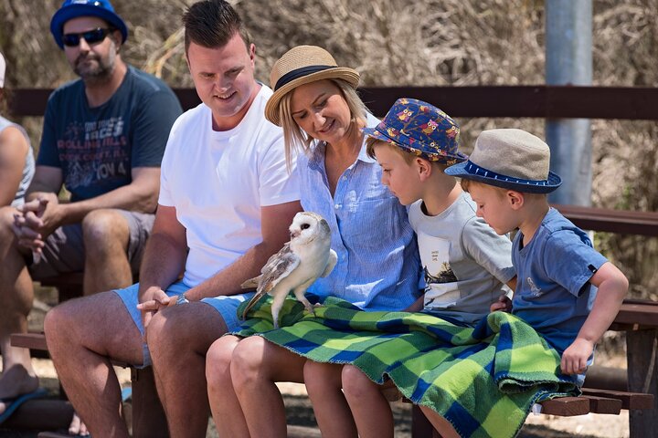 Full Day Kangaroo Island Sip and See Tour departing from Kangaroo Island