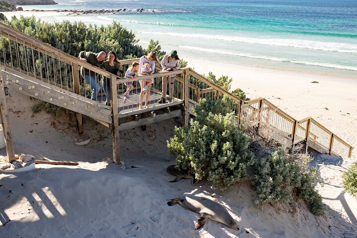 Kangaroo Island in a Day Tour from Adelaide