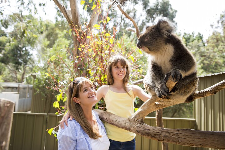 Kangaroo Island in a Day Tour from Adelaide