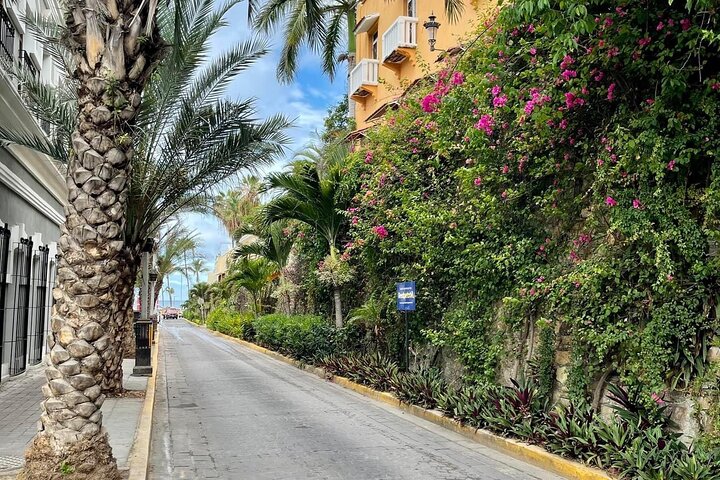 Mazatlan van for hire at cruise terminal – Bilingual Driver Incl.