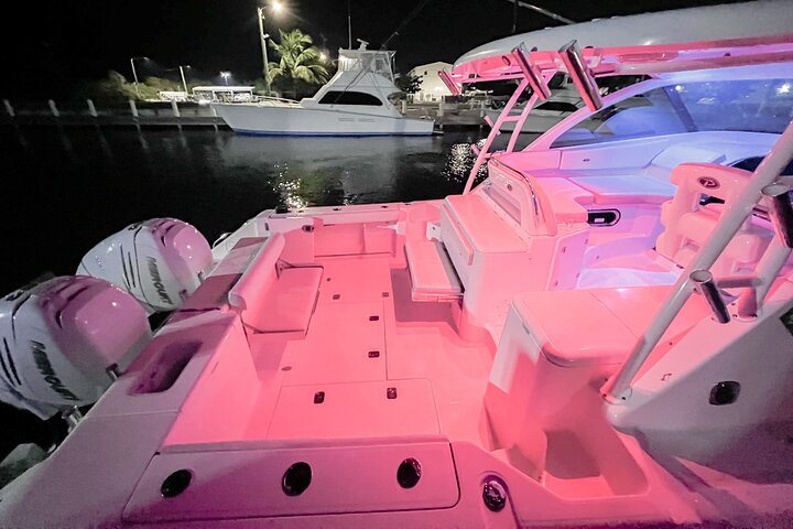 Cayman Private Luxury Charters - Stingray City, Snorkel, & More