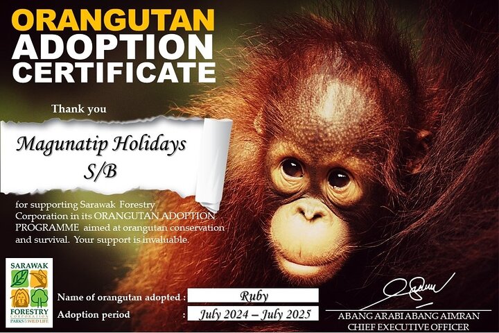 Semenggoh Orangutan Centre from Kuching