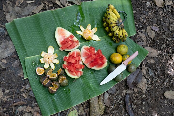 2 Days Ethical Jungle Trek in Sumatra