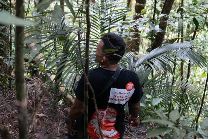 2 Days Ethical Jungle Trek in Sumatra