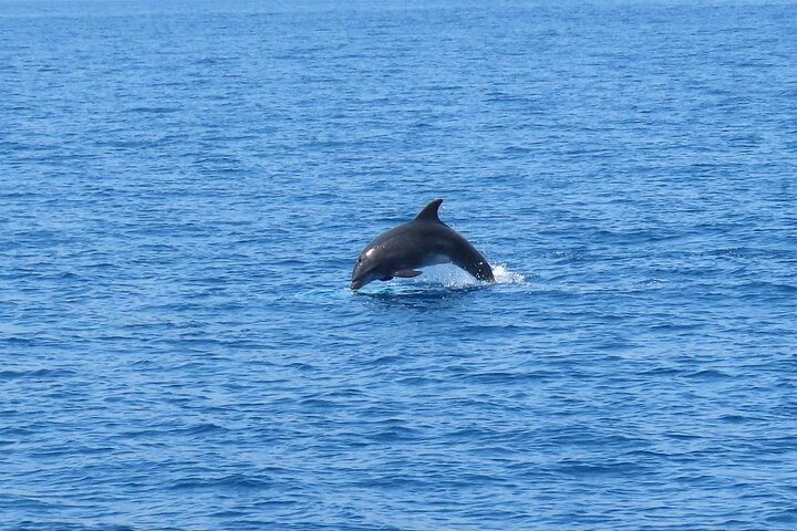 3 Island Luxury Cruise with 4 Swimming Stops with Captain Morgan