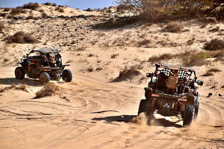 Boa Vista Buggy Tour: Shipwreck & Viana Desert (2-Hour)