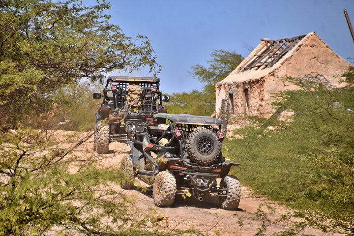Boa Vista Buggy Tour: Santa Monica & South Desert (4-Hour)
