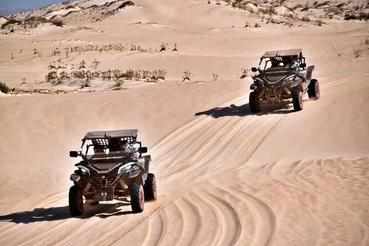 Boa Vista Buggy Tour: Santa Monica & South Desert (4-Hour)