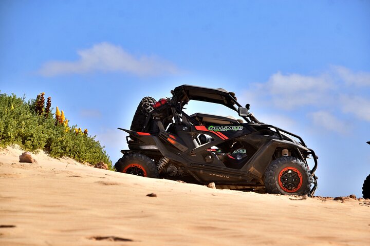 Boa Vista Buggy Tour: Santa Monica & South Desert (4-Hour)