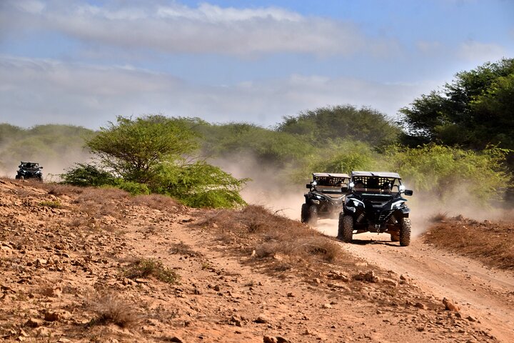 Boa Vista Buggy Tour: Santa Monica & South Desert (4-Hour)