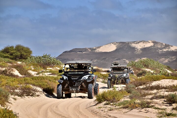 Boa Vista Buggy Tour: Santa Monica & South Desert (4-Hour)
