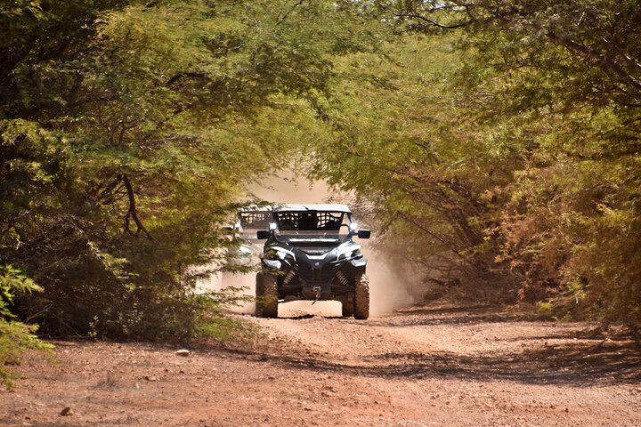 Boa Vista Buggy Tour: Santa Monica & South Desert (4-Hour)