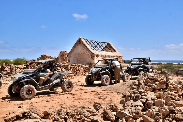 Boa Vista Buggy Tour: Santa Monica & South Desert (4-Hour)