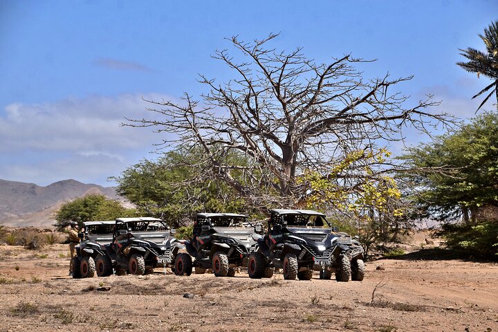 Boa Vista Buggy Tour: Santa Monica & South Desert (4-Hour)