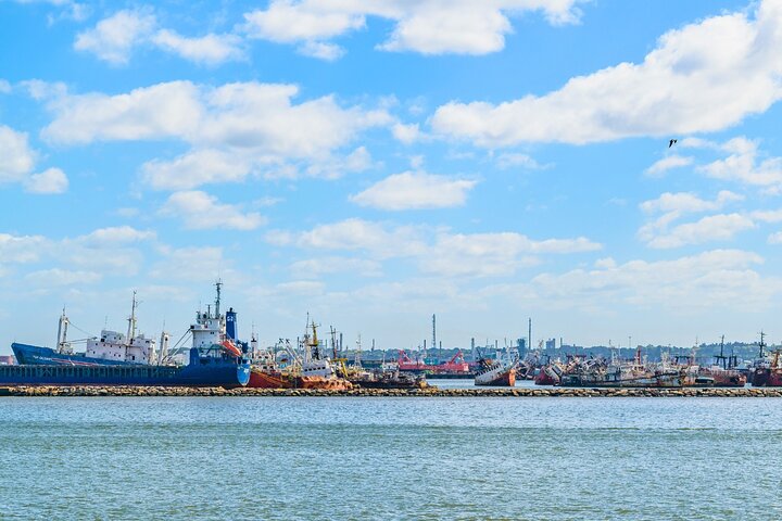 Montevideo Highlights: Shared City Tour for Cruise Passengers