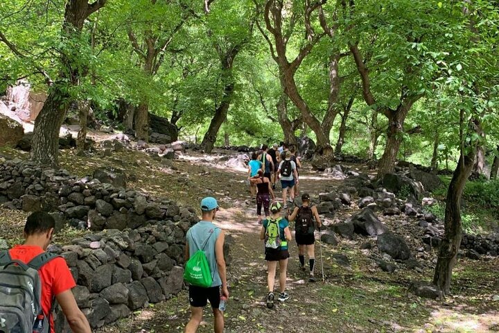 Marrakech: Ourika Waterfall, Atlas Mountain, Guide & River Lunch