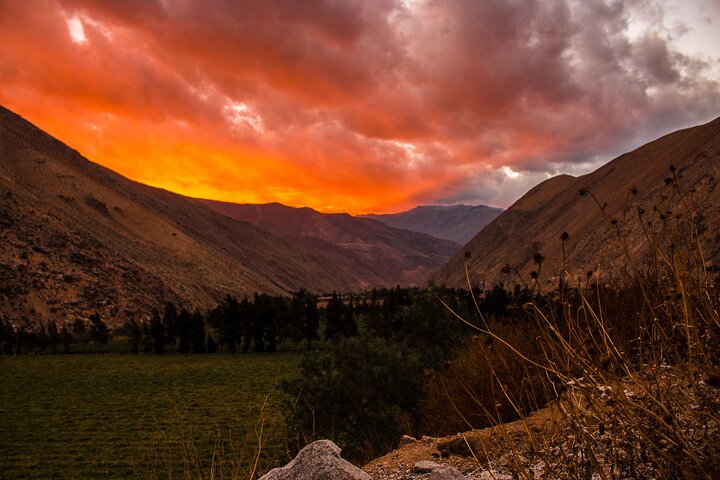 Elqui Valley Tour: History and Flavors