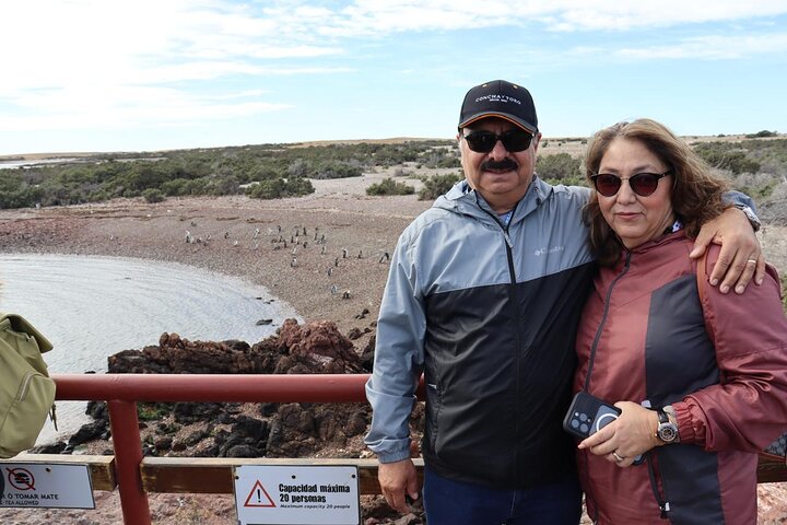 Walk with the Penguins- EARLY BOOKING -20% OFF Cruise Passengers